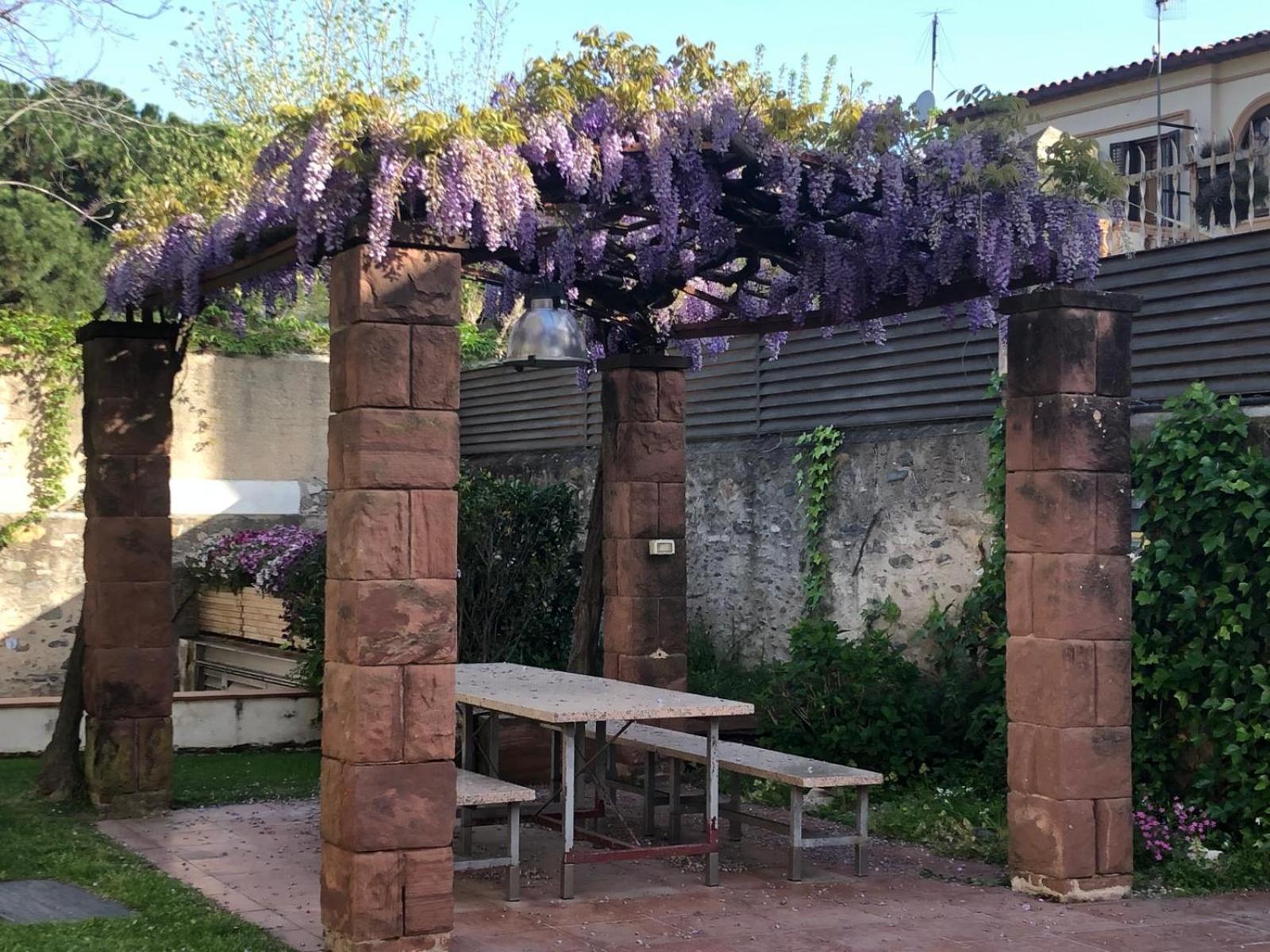 Apartamento Disfruta Del Montseny *