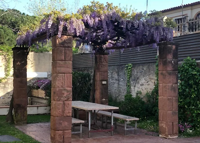Disfruta Del Montseny